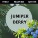 Brillar Bath House Juniper Berry Scented Shimmering Body Lotion 12 Oz (2 Pack) - Buy Online on GoSupps.com