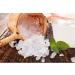 Buy Water Kefir Starter Set - DIY Kefir Kit with Original Japanese Crystals for Perfect Fermentation | Premium Organic Packaging - Buy Online on GoSupps.com