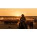 JTM Vintage Cattle Driver Beard Oil | Premium Grooming & International Shipping - Buy Online on GoSupps.com
