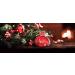 Coconut 200g Pure Indulgence Bath Soap - Luxurious Moisturizing Cleanser | Buy Internationally - Buy Online on GoSupps.com