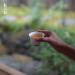 Pu-erh tea 2018 Yellow grass forest 200g Raw - Buy Online on GoSupps.com
