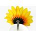 Vasana 6-Piece Sunflower Hair Clips for Women & Girls | Slipproof Crocodile Hairpins | Perfect Hairstyling Accessories for Parties Beach Vacations & Weddings - Buy Online on GoSupps.com