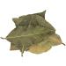 JustIngredients Essential Hand Picked Laurel Leaves 500g - Pack of 2 - Buy Online on GoSupps.com