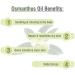 Osmanthus Oil | Pure and Natural Oil | Skincare Aromatherapy Cosmetic Grade - 15ML Osmanthus 15 ml (Pack of 1) - Buy Online on GoSupps.com