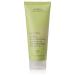Aveda Be Curly Unisex Conditioner 6.7 Fl Oz - Nourishing Citrus Formula for Defined Curls | International Shipping Available - Buy Online on GoSupps.com