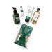Bath and Body Works EUCALYPTUS SPEARMINT Gift Bag