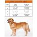 Homend Adjustable Dog Wheelchair for Disabled Hind Legs Puppy Cat/Dog/Puppy Walking Hind Legs Rehabilitation Easy Assemble Lightweight Small - Buy Online on GoSupps.com