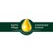 tetesept Aroma Care Bubble Bath Cold Time with Eucalyptus Essential Oil - 500ml - Buy Online on GoSupps.com