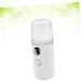 Amosfun 2 Pcs Nano Facial Mister Lash Tool Handy Mini Sprayer Spray Humidifier Spray Bottle Spa Facial Water 10cmX4cmx2pcs - Buy Online on GoSupps.com