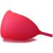 Intimichic Menstrual Cup - Eco-Friendly & Comfortable - 50g | Shop Internationally - Buy Online on GoSupps.com