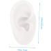 Buy FRCOLOR Flexible Artificial Ear Mold | Perfect for Acupuncture Ear Piercing Practice & Jewelry Display - International Shipping Available - Buy Online on GoSupps.com