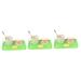 FRCOLOR 3 Sets Toys For Early Dental Education Teaching Aids Wooden Denture Reusable Reusable