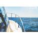 Tommy Docks 15ft Dock Line - 3/8 in Thick Double Braided Nylon Rope - 400 lb Break Strength - White - Buy Online on GoSupps.com