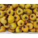 Yellow Hawthorn (Crataegus douglasii) Tree 50 Fresh Seeds - Buy Online on GoSupps.com