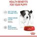 Royal Canin Mini Puppy | 4er Pack | 4 x 12 x 85 g | Nassfutter f r kleine Hundewelpen | Bis zum 10. Lebensmonat | Feine St ckchen in So?e | Weiche Textur f r die Milchz hne - Buy Online on GoSupps.com