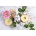Buy Lunar Glow Makeup Primer & Foundation 30ml | Best Face Primer for Flawless Makeup | International Shipping Available - Buy Online on GoSupps.com