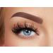 Shop Melody Lashes Naomi Jon Chaos - Ultra Fluffy Natural Eyelashes Vegan & 15x Reusable - Buy Online on GoSupps.com