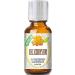 Healing Solutions 30ml Oils - Helichrysum Essential Oil - 1 Fluid Ounce