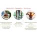 Greens First PRO Phytonutrient Antioxidant Superfood - 180 Capsules for Optimal Health - Buy Online on GoSupps.com