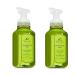 Eucalyptus MInt Gentle Foaming Hand Soap 2 pack 2019 8.75 Fl Oz (Pack of 2)