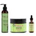 Mielle Rosemary Mint Styling Product Combo (CREAM&GEL&OIL)