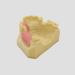 Denture Repair Resin - Medical Training Aid for Dental Education & Planting Training - Buy Online on GoSupps.com