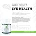 Vision Expertly Formulated Lutein and Zeaxanthin Supplements for Eye Health AREDS2 Preservision Support Astaxanthin Zinc Thiamine Eye Vitamins A & C - 90 Capsules (Pack of 3) 30 Count (Pack of 3) - Buy Online on GoSupps.com