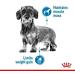 ROYAL CANIN Mini Light Weight Care - 3kg - Buy Online on GoSupps.com