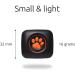 PitPat Dog Activity Monitor - No GPS, No Recharging - Suitable for All Dogs - Smart Fitness Tracker - 100% Waterproof - Buy Online on GoSupps.com