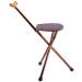 Walking Stick with Seat Walking Stick Old Man Four Feet Cane Light Aluminum Alloy Crutch Walker Gold for Elderly Gift