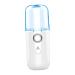Beatifufu Nano Water Replenishing Instrument Portable Humidifiers Portable Face Steamer Hydrator White Plastic
