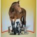 Buy Jehn Unisex Ballistol Animal Care Oil 500ml - Transparent - International Shipping Available - Buy Online on GoSupps.com