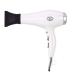 1800W Powerful Quick Drying Salon Professional Hair Dryer Compact Anti-frizz Ionic Hairdryer with Styling Nozzle 2-Speed and 3 Temperature Settings Cool Shot Function for Home and Salon Small Gift