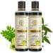 Khadi Natural Shampoo khadi Amla and Bringraj Shampoo Suitable for All Hair Types 210ml pack of 2 - Buy Online on GoSupps.com