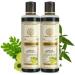 Khadi Natural Shampoo khadi Amla and Bringraj Shampoo Suitable for All Hair Types 210ml pack of 2