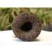 Tuocha Xia Guan Xiao Fa Tuo Cha Yunnan Arbre Ancien Pu Er Th Pu-erh m r 500g - Buy Online on GoSupps.com