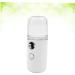 Baluue 2 Pcs Air Humidifier Handy Mini Sprayer Humidifier Face Mist Skin Care Tools for Face Portable White - Buy Online on GoSupps.com
