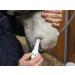 NostrilVet - Equine Allergy Blocker (2 x 1500mg bottles) - Buy Online on GoSupps.com
