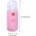 Hemoton 2pcs Spray Humidifier Mini Humidifier Beauty Spray Water Meter Air Humidifier Skin Moistener Portable Humidifier Mist Sprayer - Buy Online on GoSupps.com