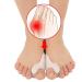 Millto Bunion Corrector 12-Pack for Women - Toe Separator & Protector Pads - Buy Online on GoSupps.com