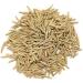 AOZA Organicgreen Herb Indrajav/Indrajau/Inderjo Kadwa Holarrhena Pubescens (200gm)