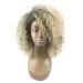 Chic Long Blonde Curly Synthetic Wig - Heat Resistant Party Hairpiece for Stylish Looks - Buy Online on GoSupps.com