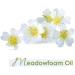 Buy Crysalis Meadowfoam Seed Oil | 0.51 Fl Oz (15ml) - Premium Skincare Oil for Hydration & Nourishment - International Shipping Available - Buy Online on GoSupps.com