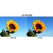 AGFA 58mm APUV58 Ultra Violet (UV) Glass Filter - High-quality Lens Protector - Buy Online on GoSupps.com