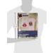 Avery Printable Heat Transfer Paper for Light Fabrics - 8.5x11 Inkjet Printer Transfers (6 Sheets) - Buy Online on GoSupps.com