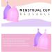 Buy Florauspicious Reusable Menstrual Cups - 2 Pack (Small Transparent) for Eco-Friendly Female Care - Buy Online on GoSupps.com