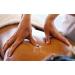 Wang Wan Herbal Medicated Oil Spray for Tendons, Joints & Bones - Thai Massage (70 cc Spray Bottle) - Buy Online on GoSupps.com