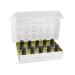 doTERRA Family Essential Kit Liquid | Natural Wellness Essentials for Every Home - Shop Now - Buy Online on GoSupps.com