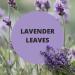 Black Canyon Lavender Leaves Scented Petroleum Jelly For Skin 16 Oz - Buy Online on GoSupps.com