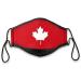 Canadian Pride Non-Medical Face Mask Set Featuring 4 Patriotic Designs That Includes A Free Bradford Exchange Zippered Carrying Case - Buy Online on GoSupps.com